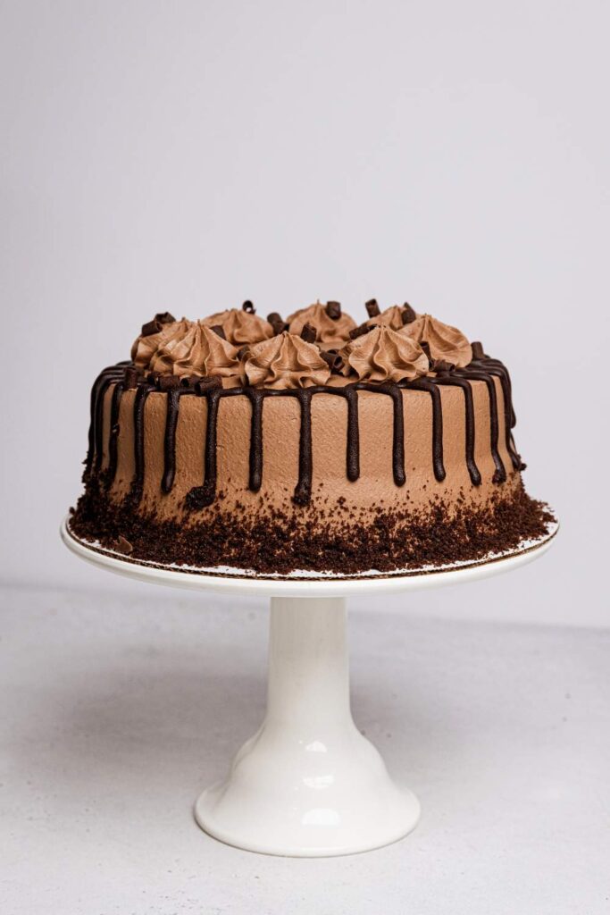 Chocolate cake on cake stand