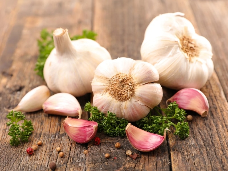 Garlic on wooden table