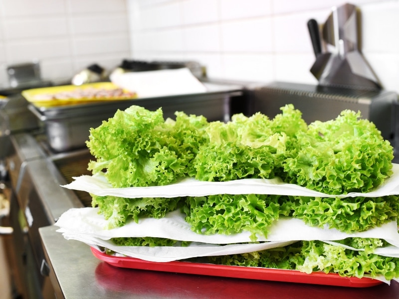 Lettuce in kitchen