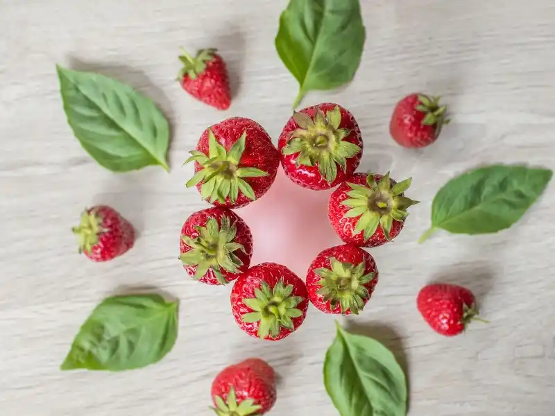 Strawberries and basil leaves